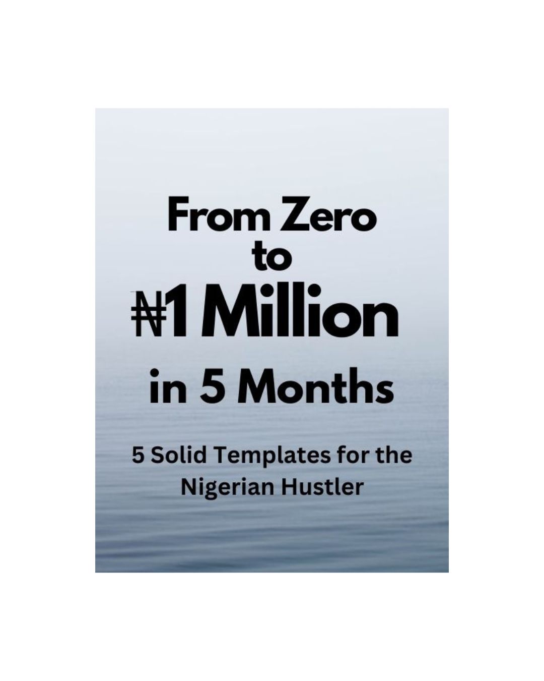 alt="ebook titled from zero to 1 million naira in five months"